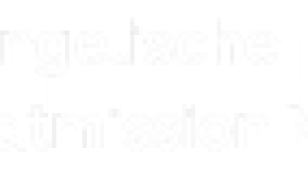 Evangelische Stadtmission Mosbach